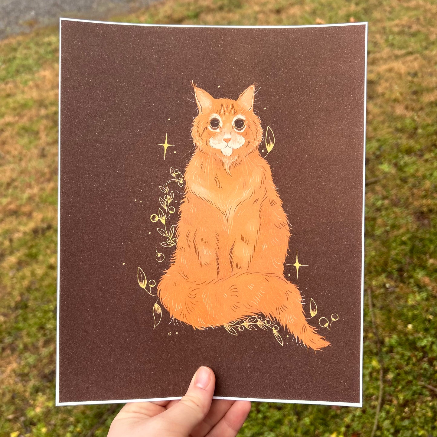 Maine Coon Cat Print