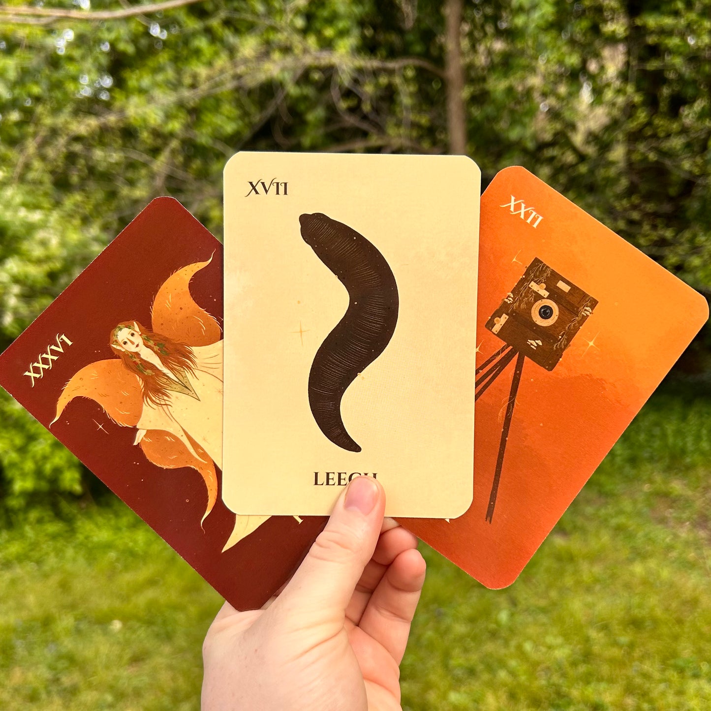 Mutable Oracle Deck