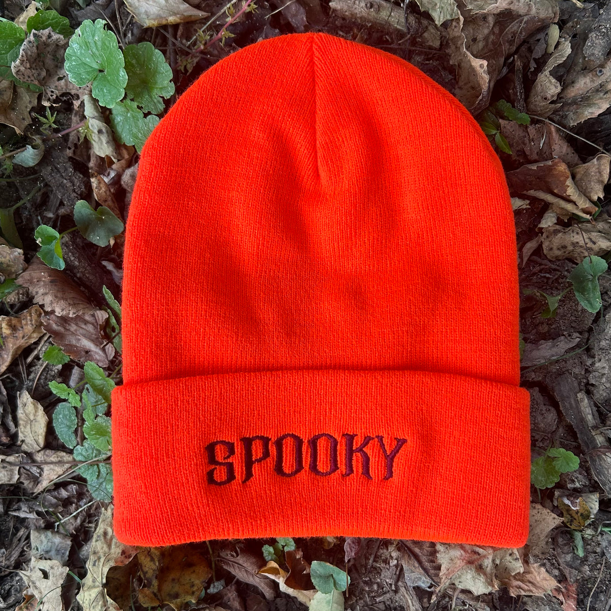 Spooky Beanie-Glowing Pumpkin