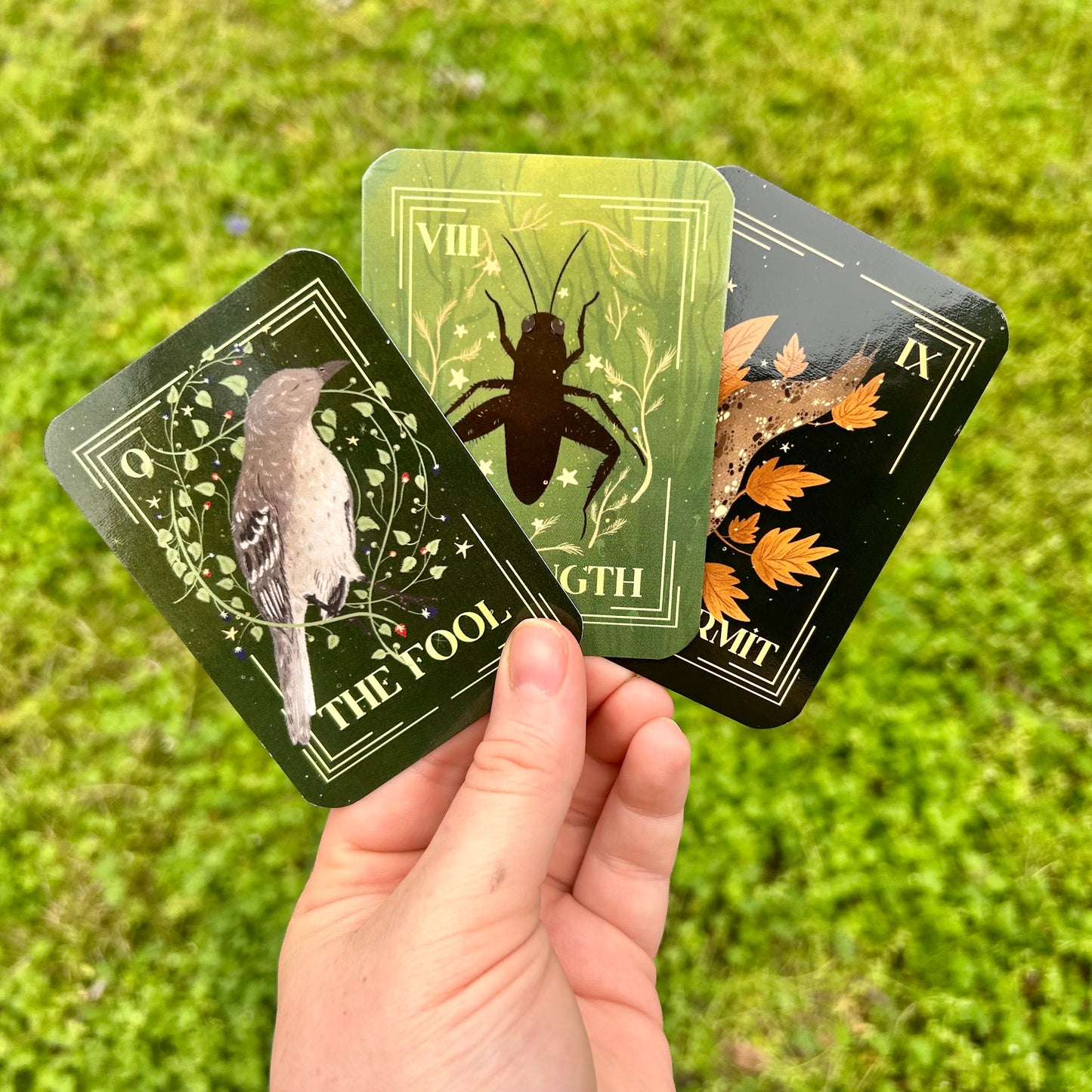 Enchanted South Tarot Deck