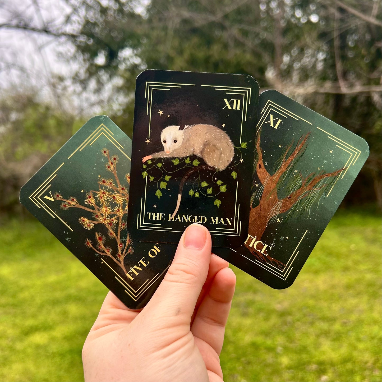 Enchanted South Tarot Deck