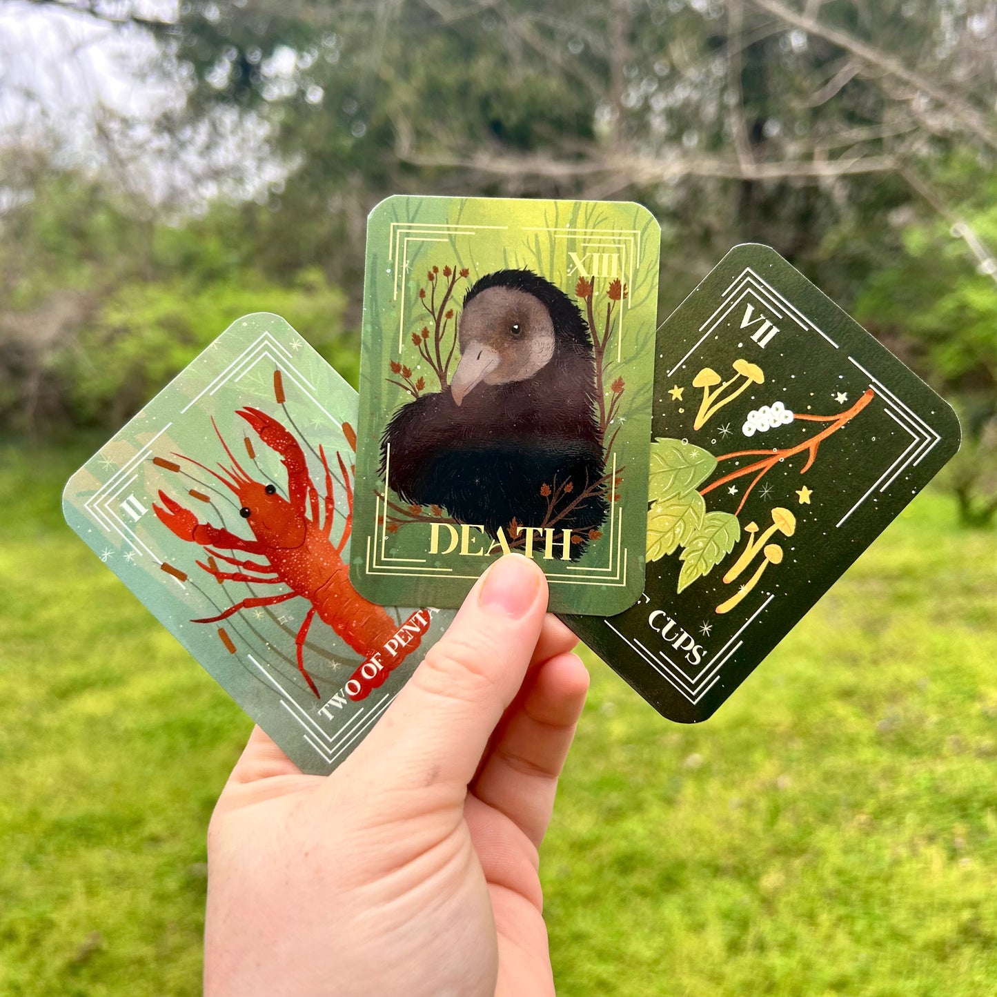 Enchanted South Tarot Deck
