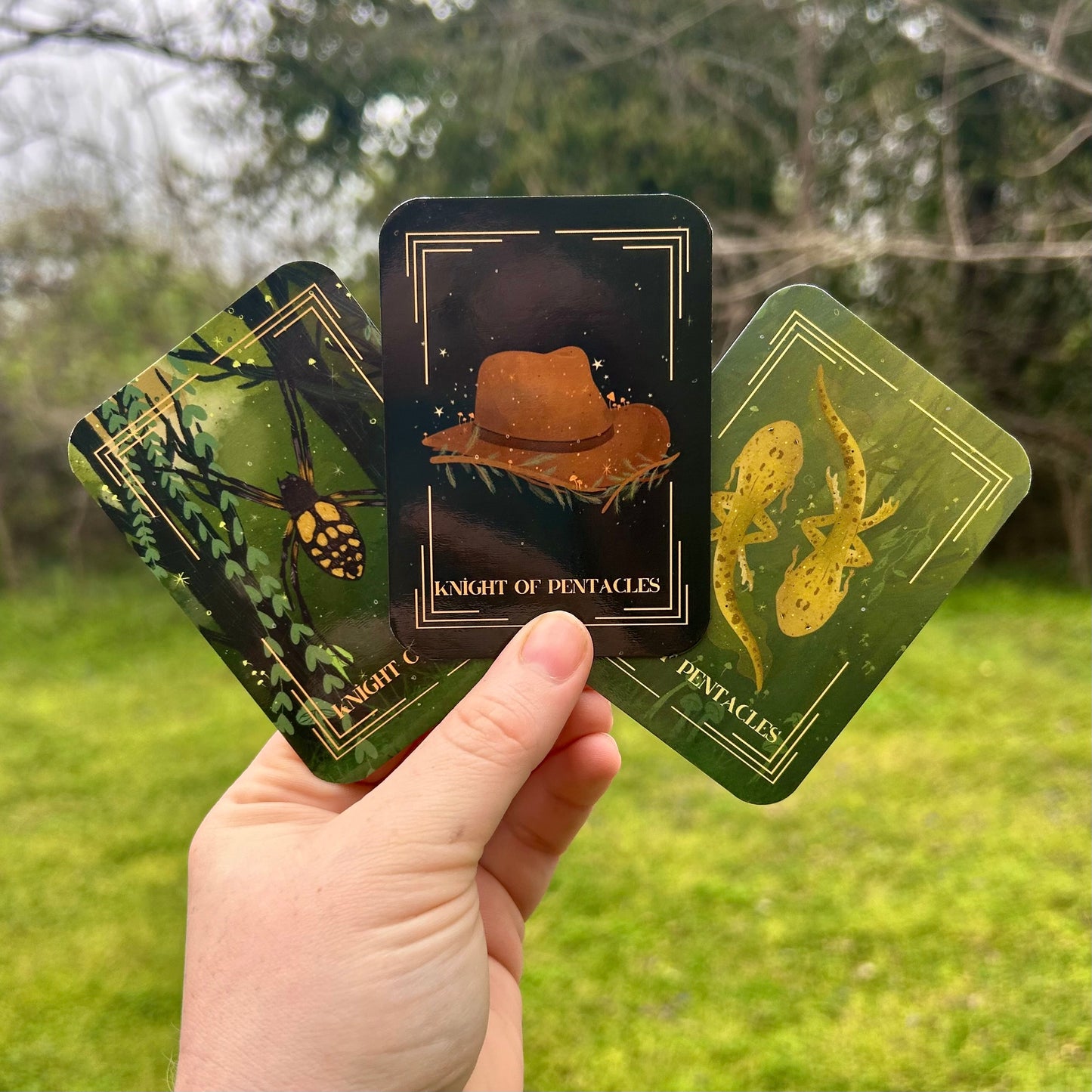 Enchanted South Tarot Deck