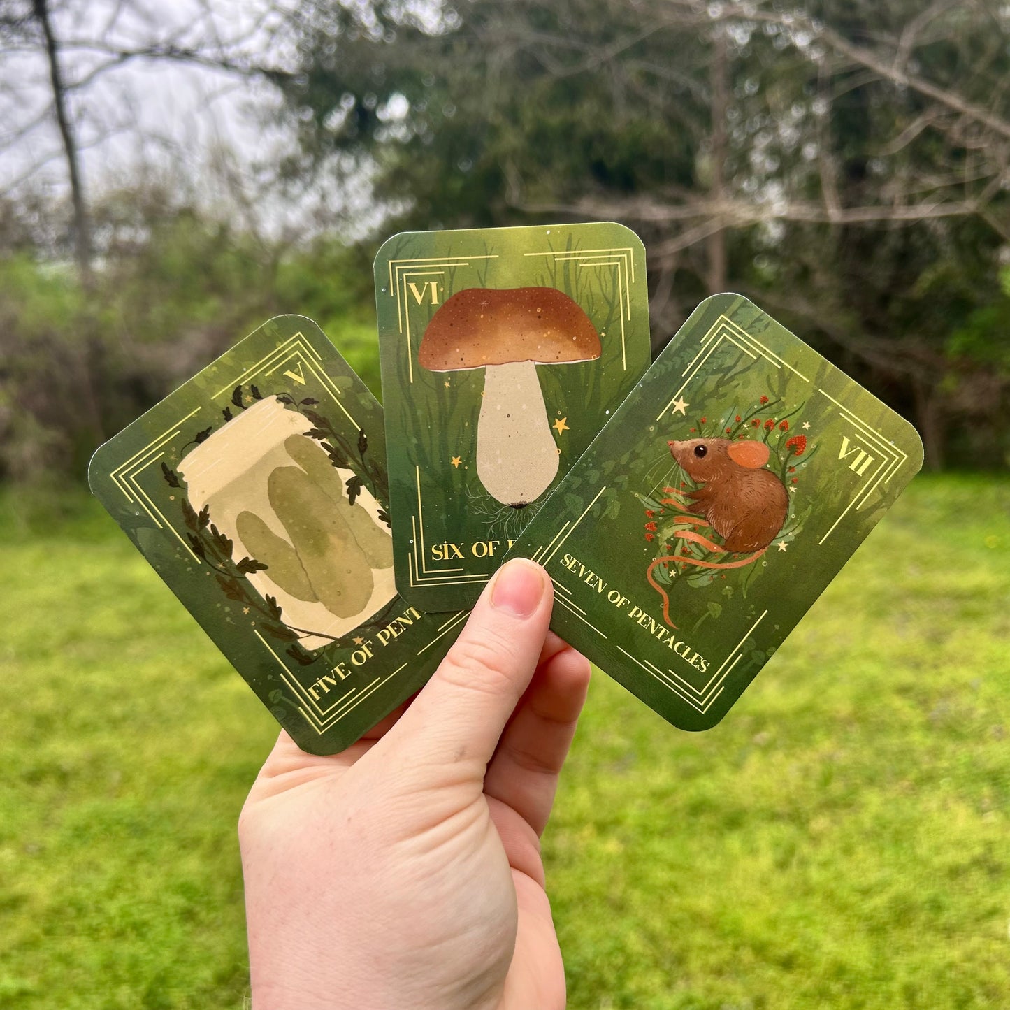 Enchanted South Tarot Deck