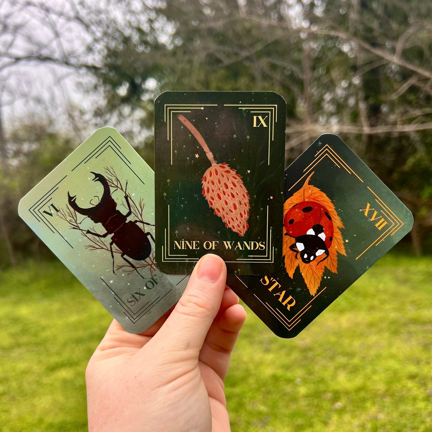 Enchanted South Tarot Deck