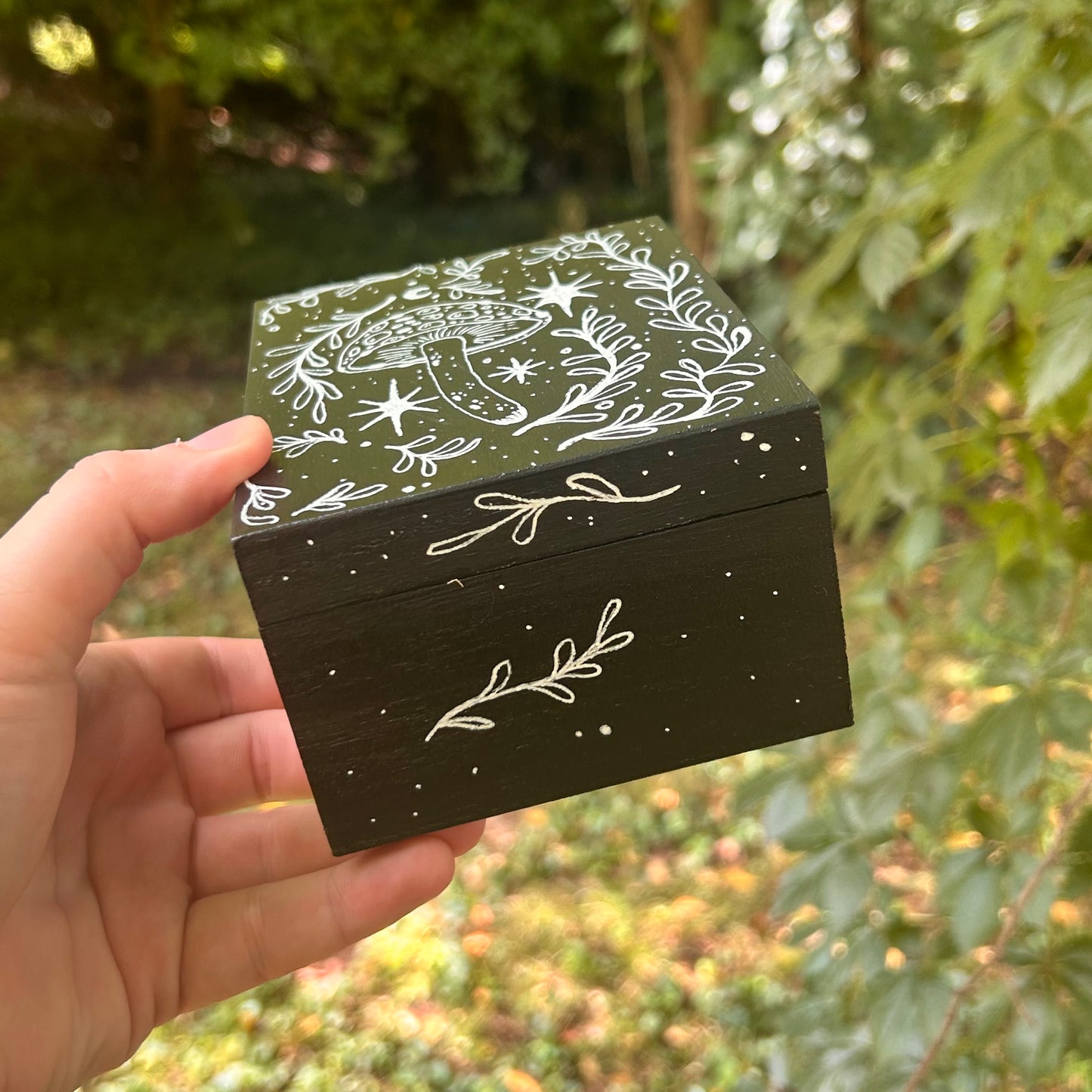 Handpainted Mushroom Box