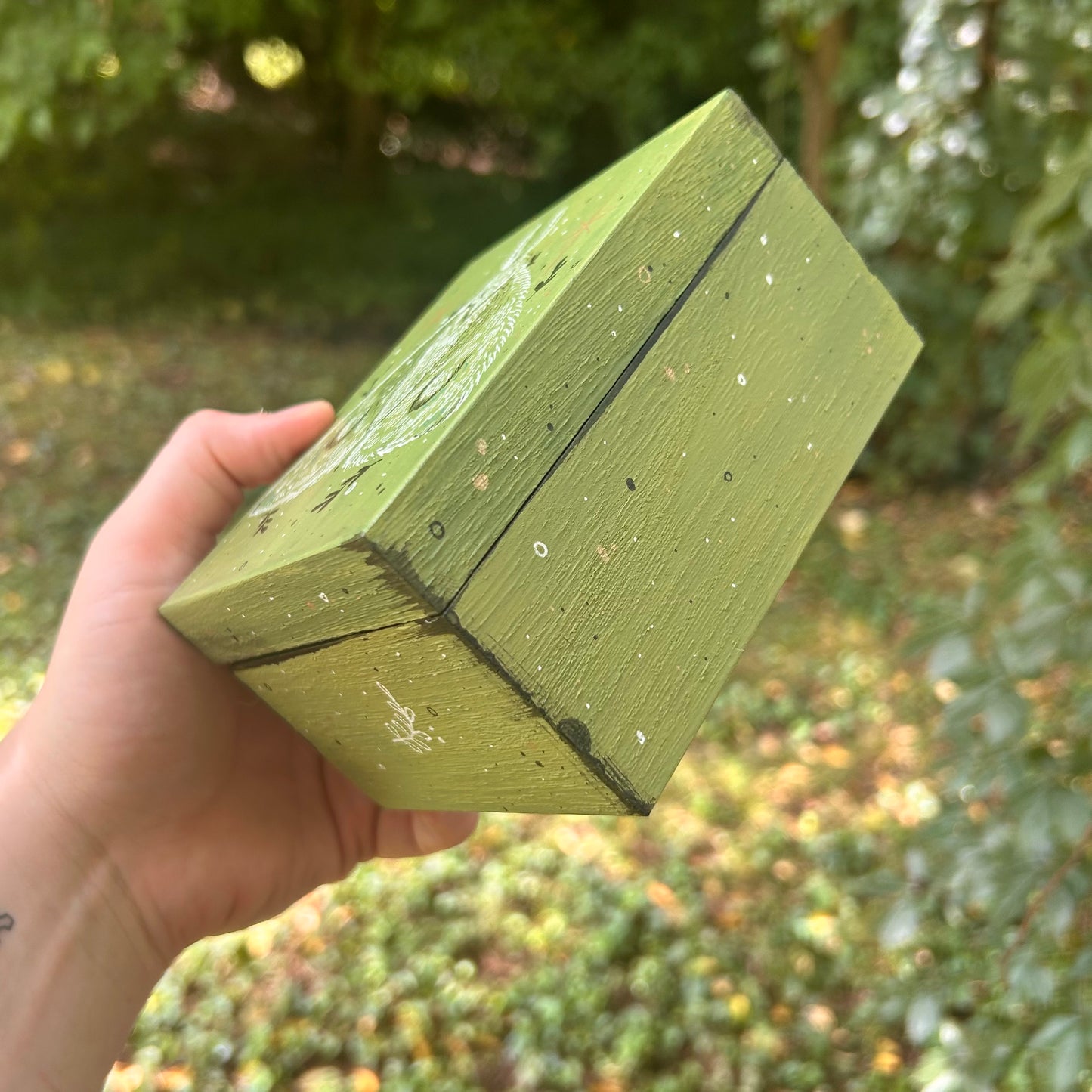 Handpainted Moth Box (Green)