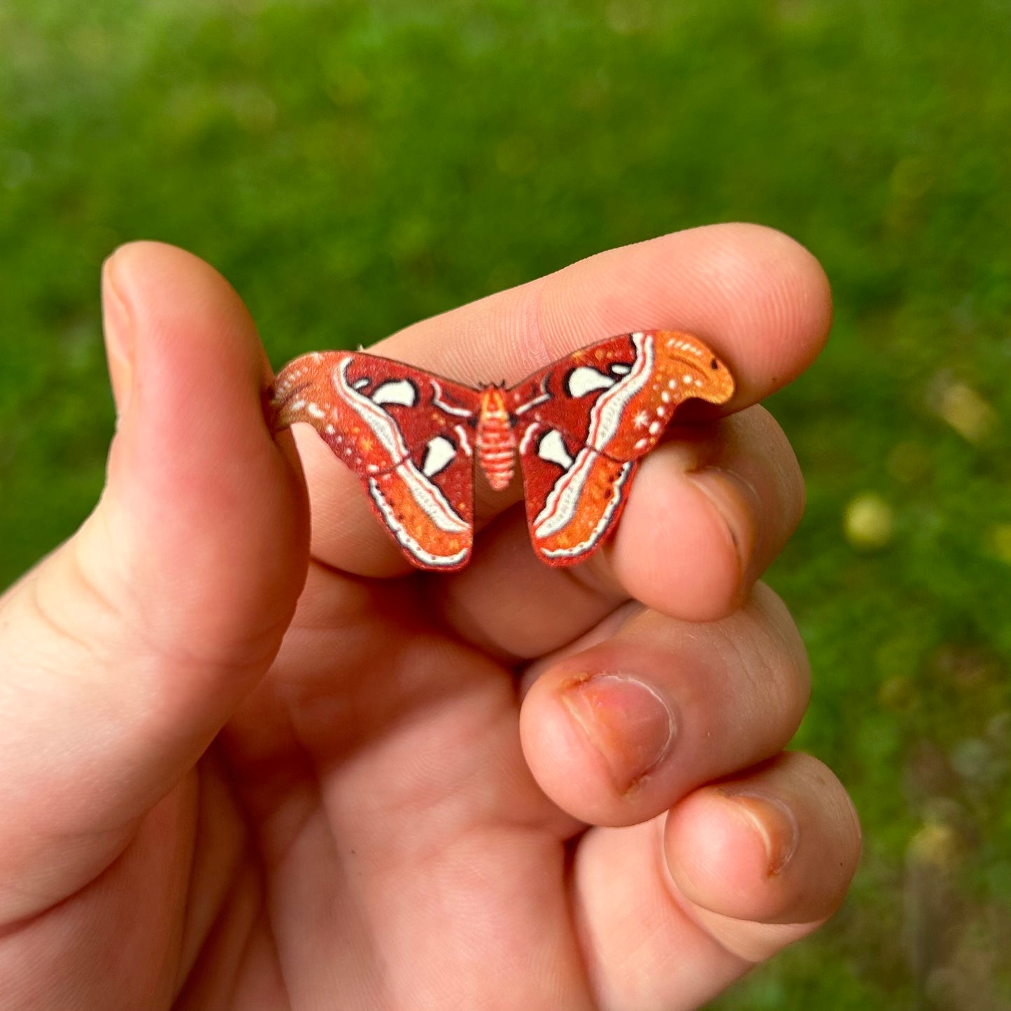 Atlas Moth Pin