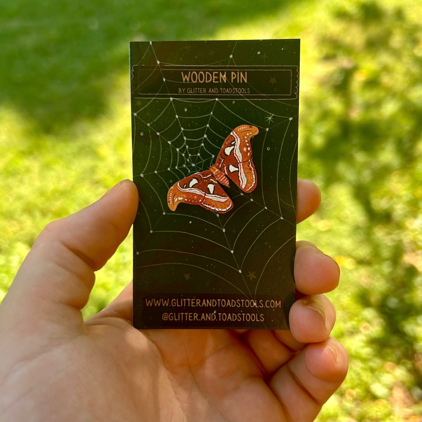Atlas Moth Pin