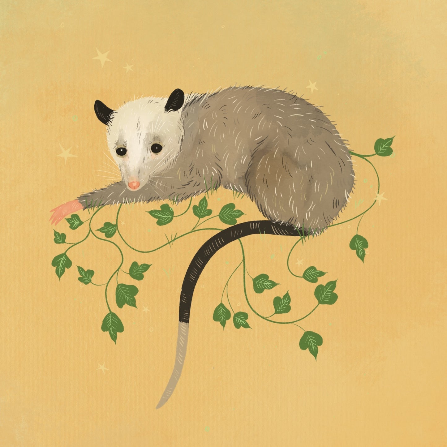 Peaceful 'Possum Art Print