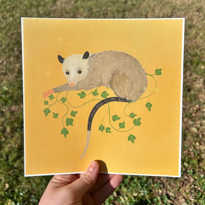 Peaceful 'Possum Art Print