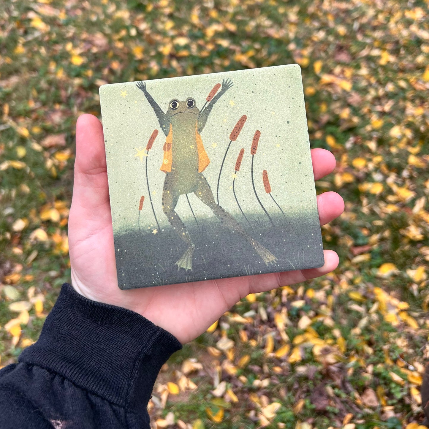 ✨Imperfect✨Dapper Loveland Frogman Coaster
