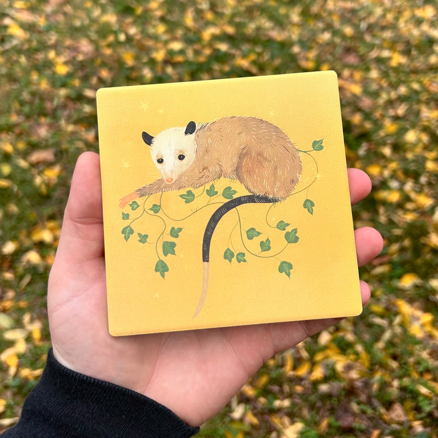 Peaceful 'Possum Ceramic Coaster