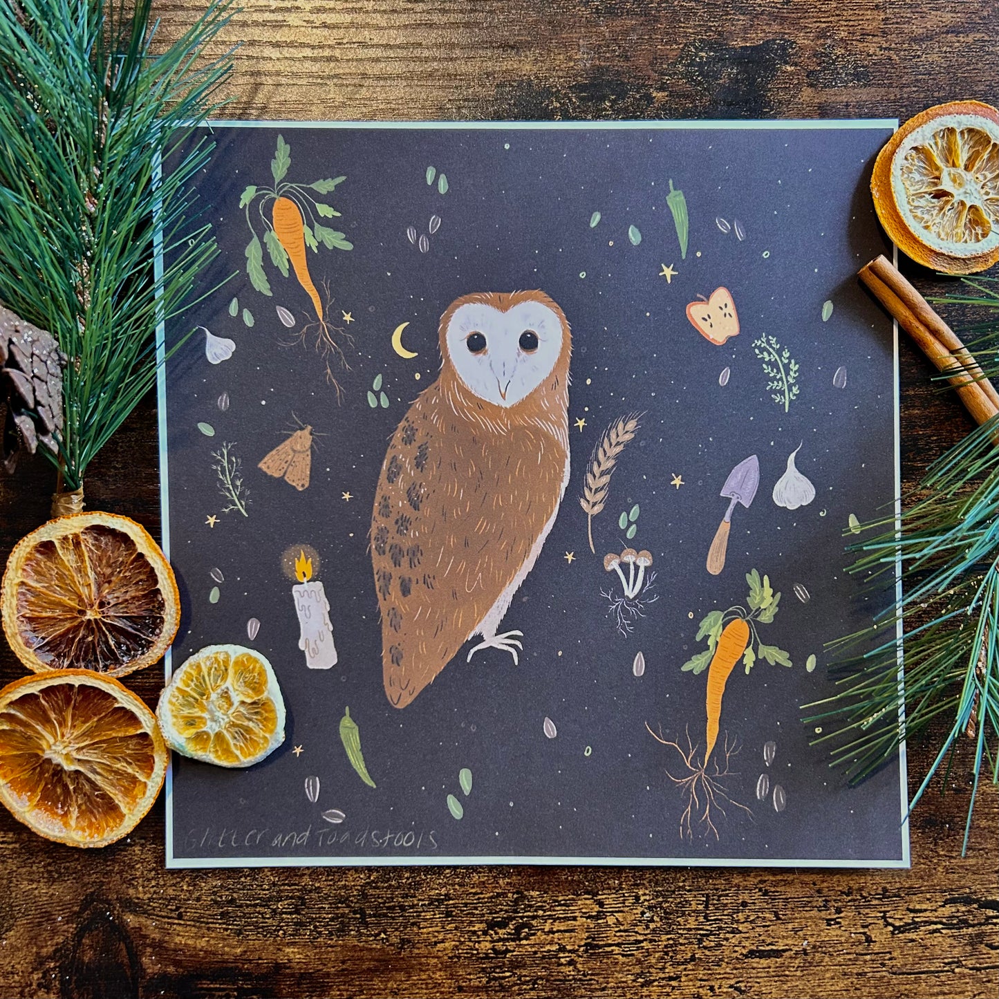 Barn Owl Cottage Print