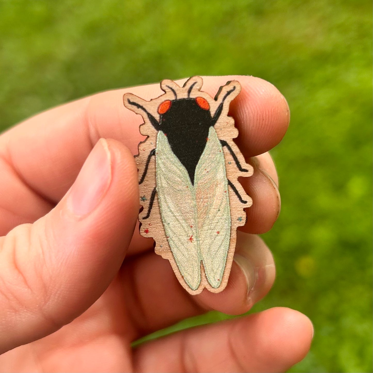 Cicada Pin