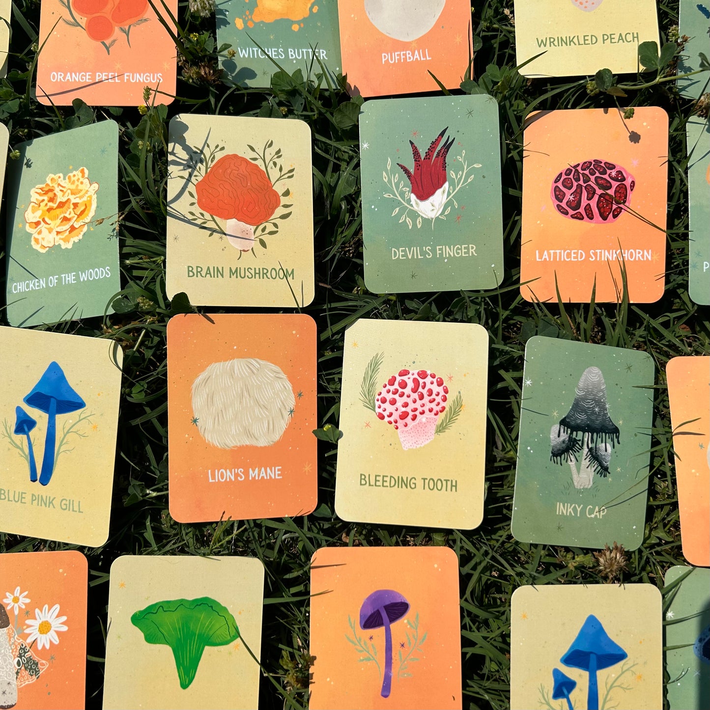 Weird Mushrooms Matching Card Game