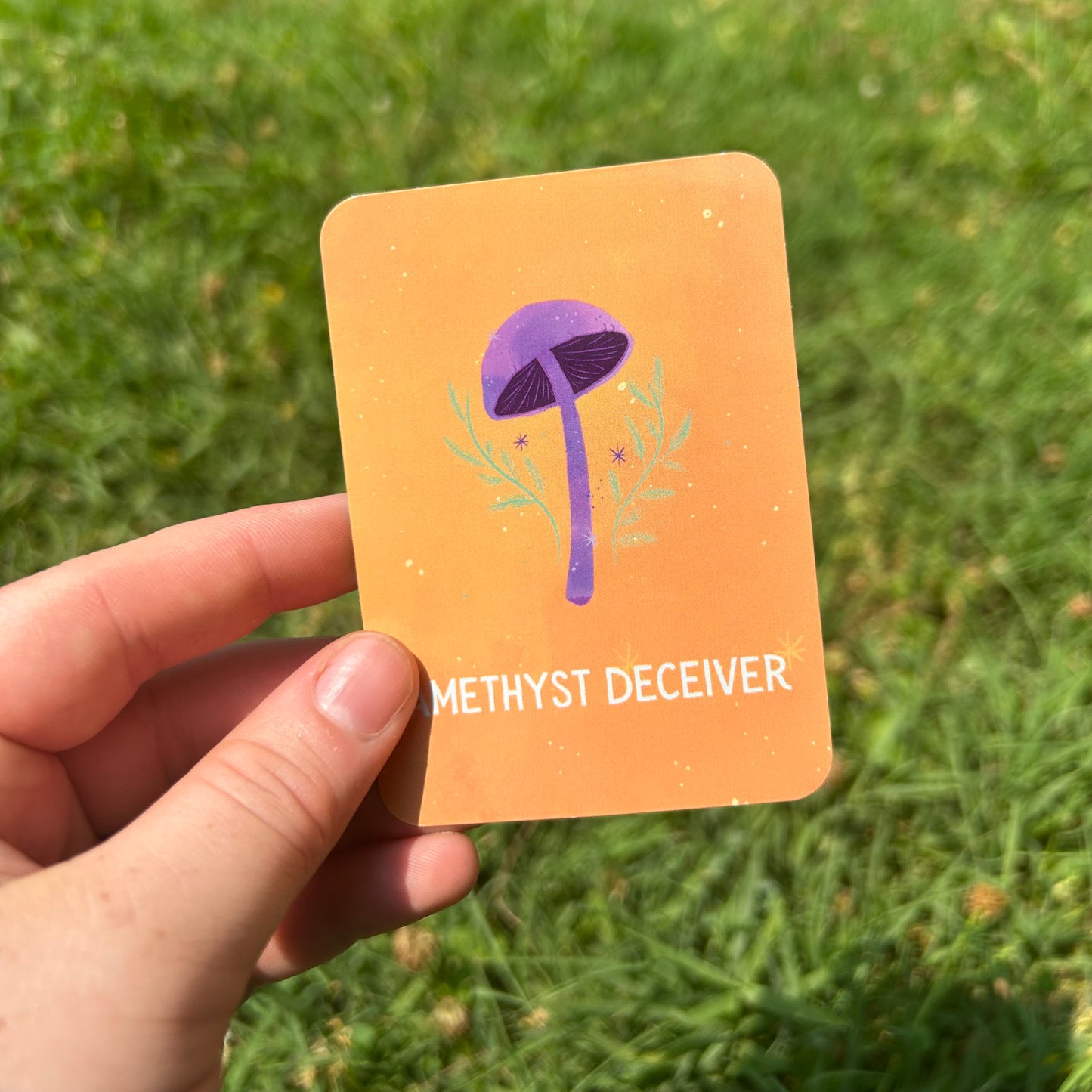 Weird Mushrooms Matching Card Game