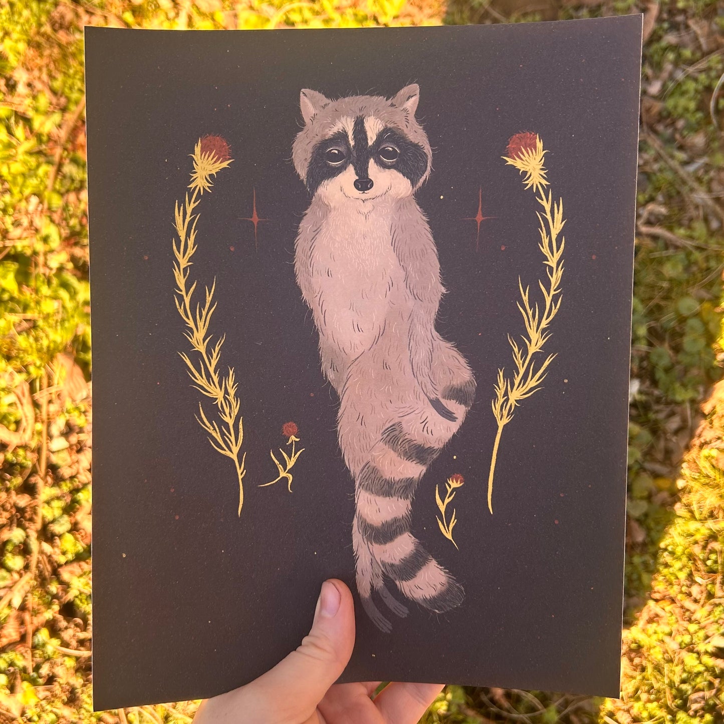 Raccoon and Thistle Print