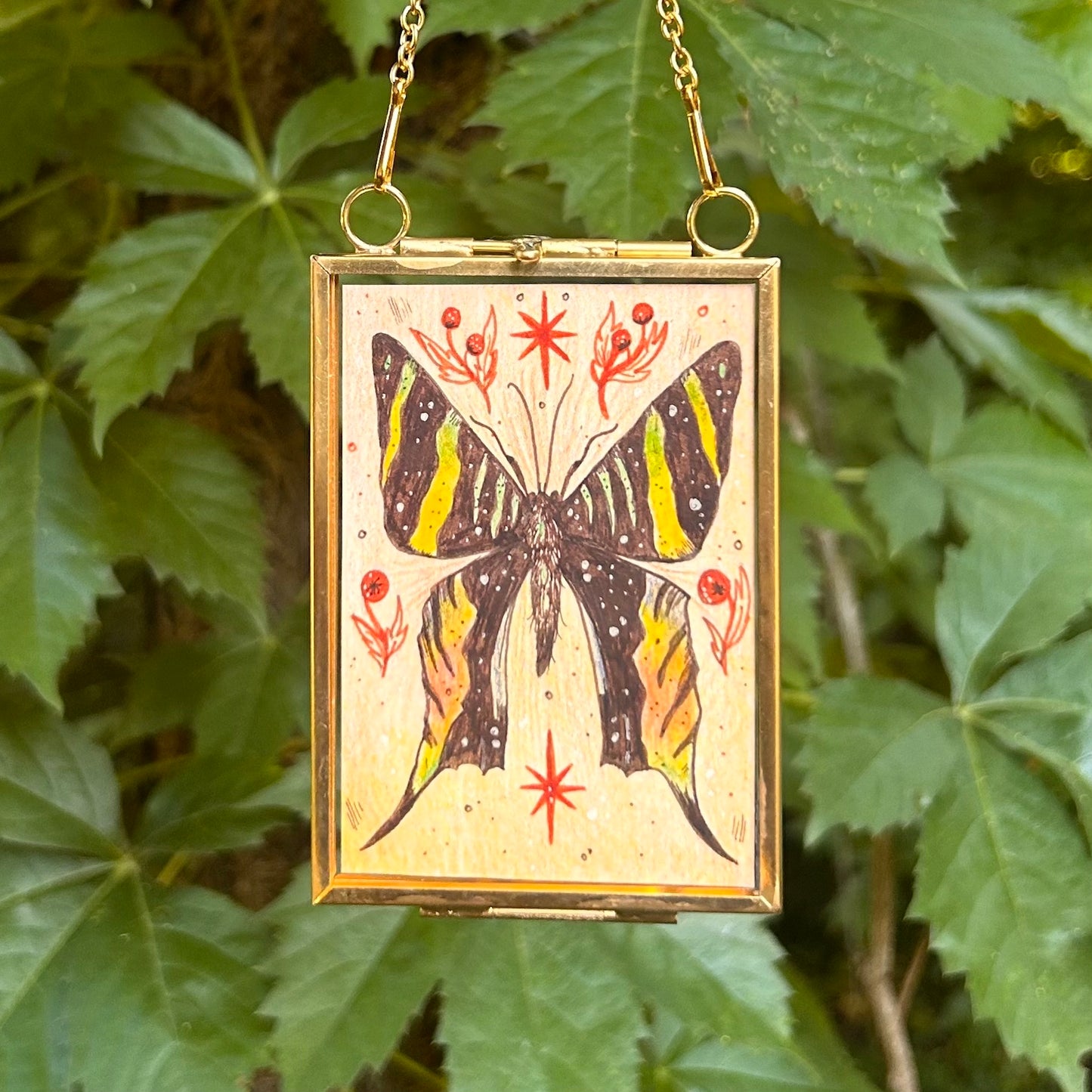 ORIGINAL ART-Urania Sloanus Butterfly