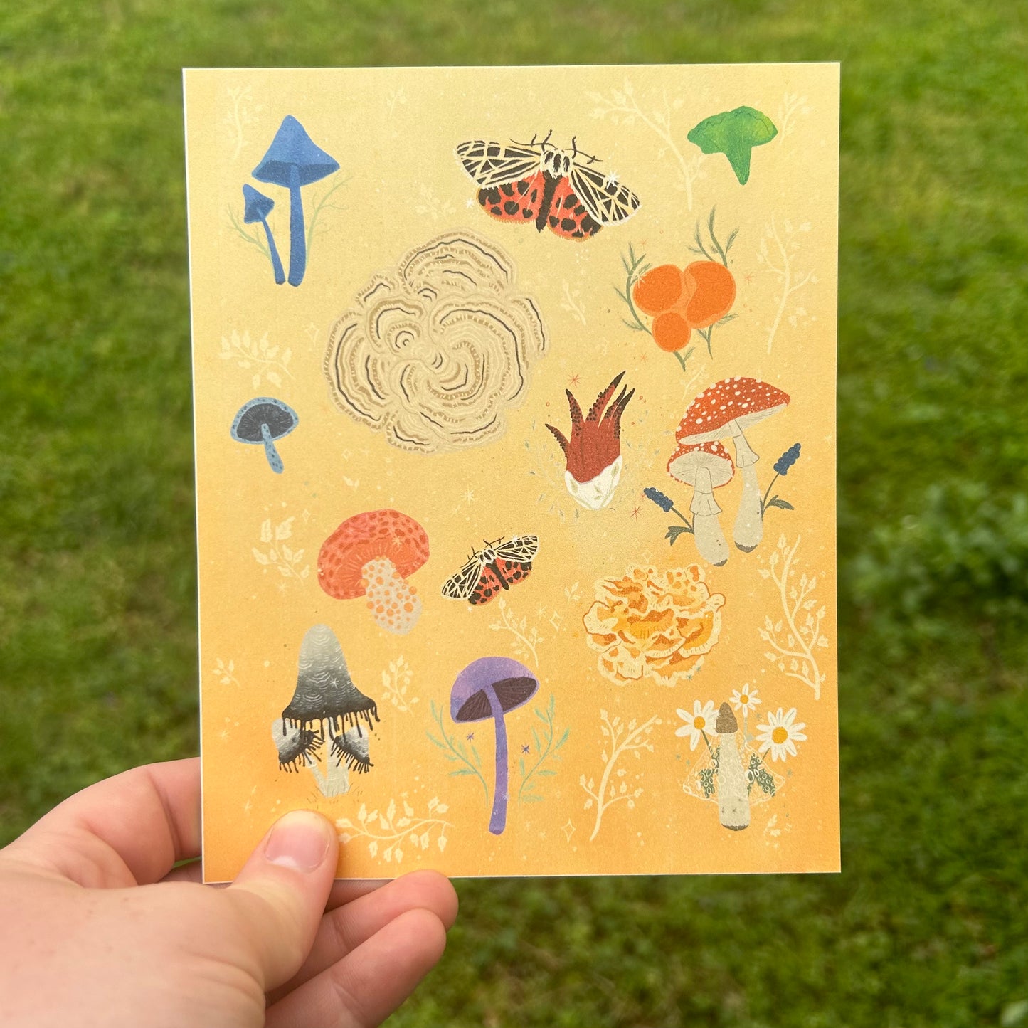 Weird Mushrooms Art Print