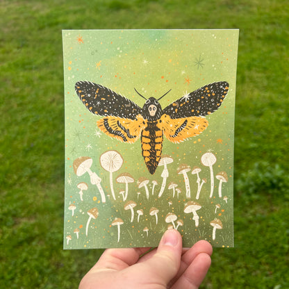 Death's Head Moth Art Print