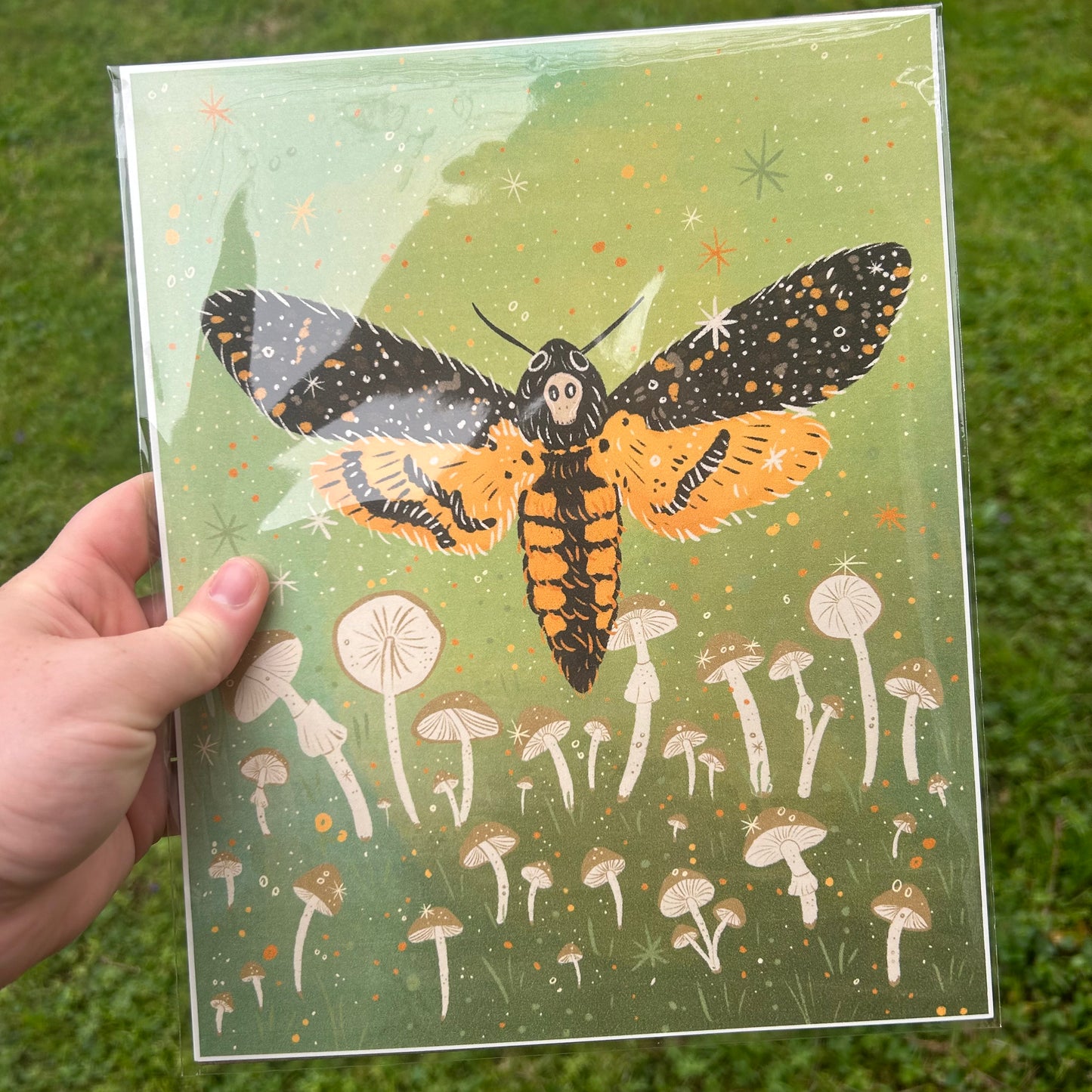 Death's Head Moth Art Print