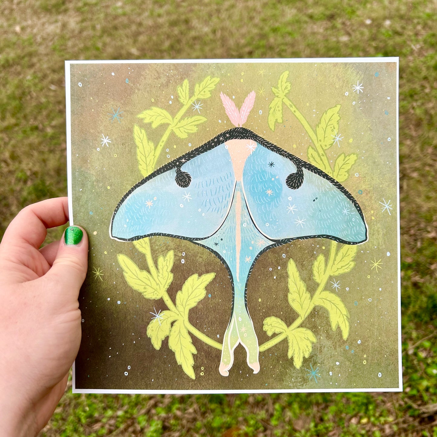 Luna Moth Art Print