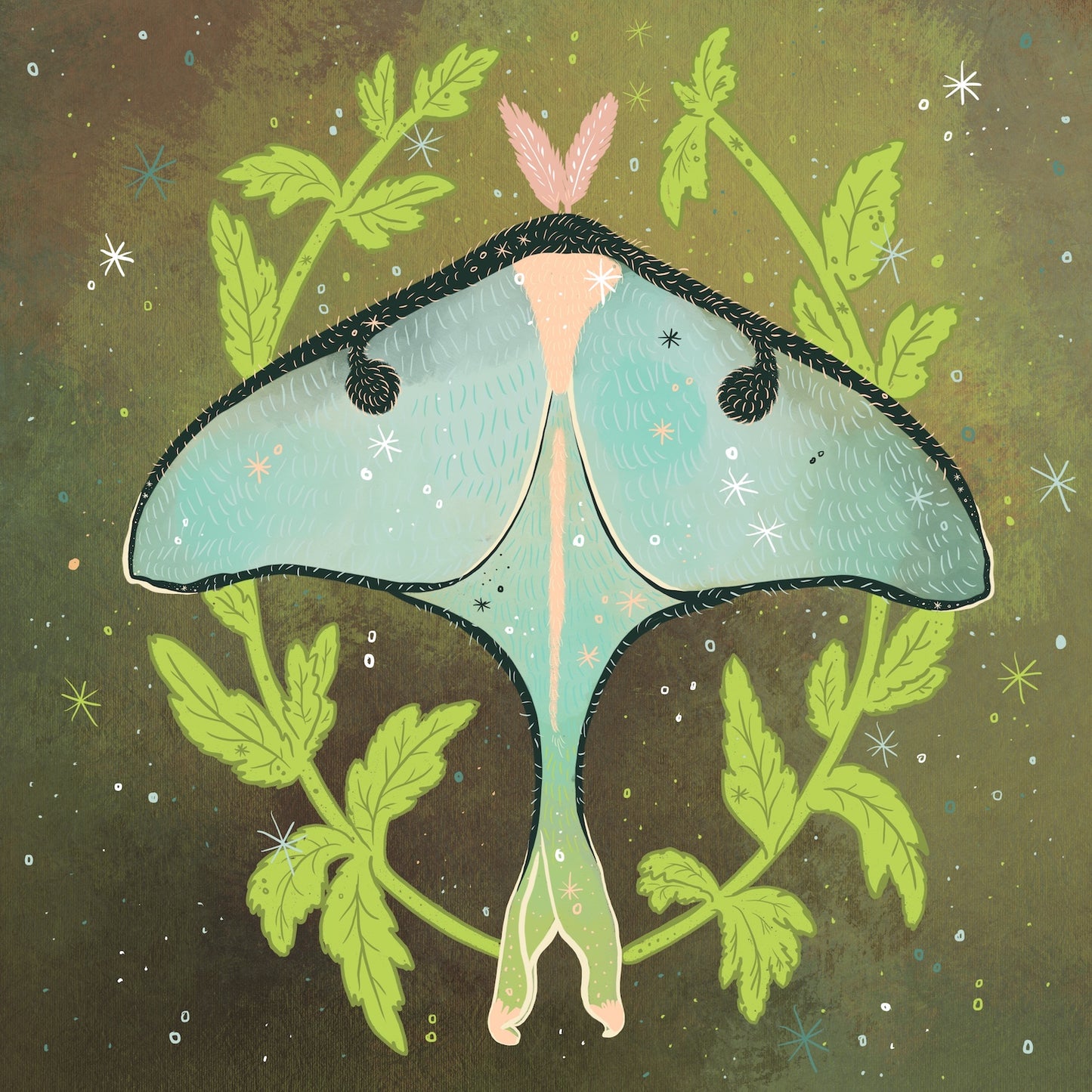 Luna Moth Art Print