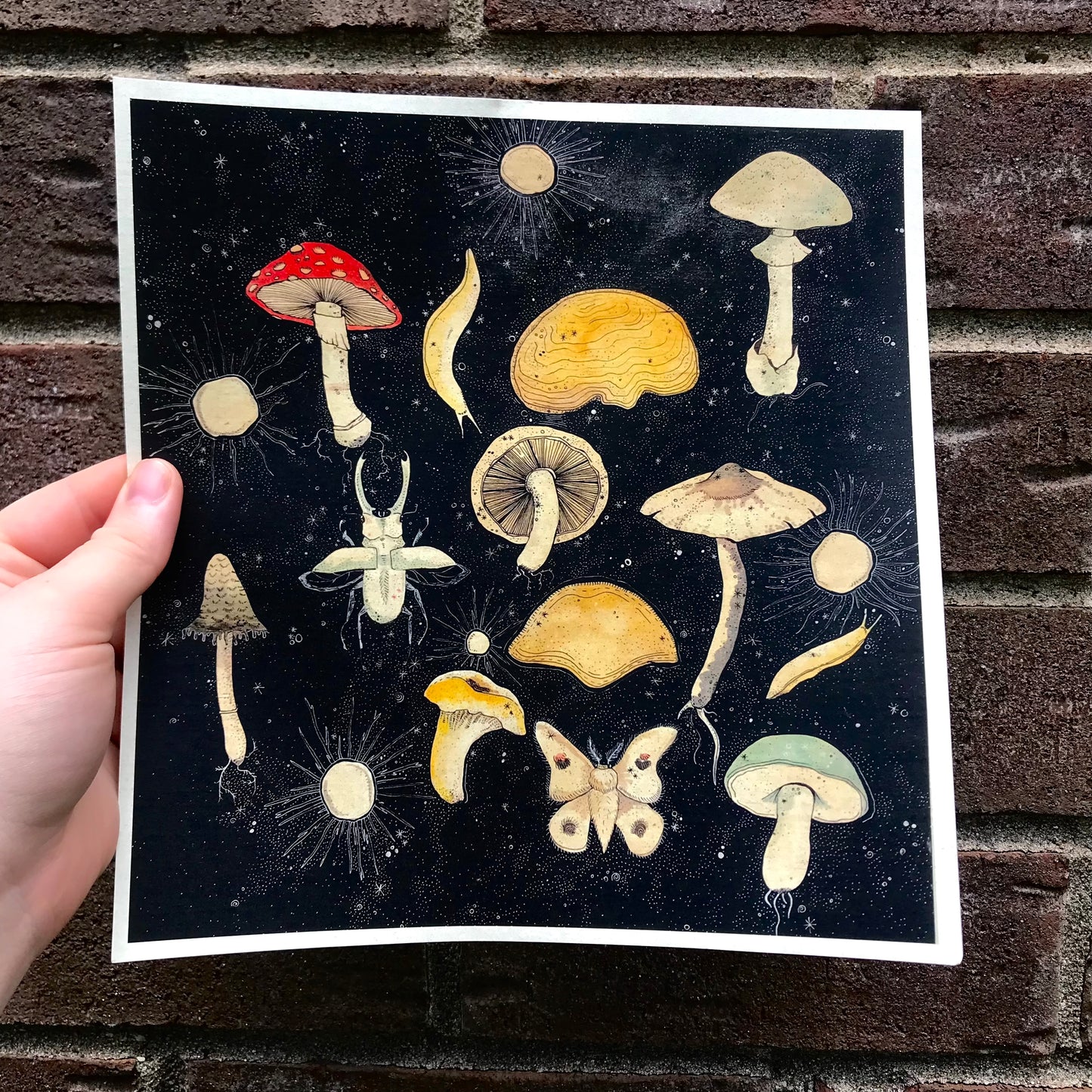 Mushroom Field Print